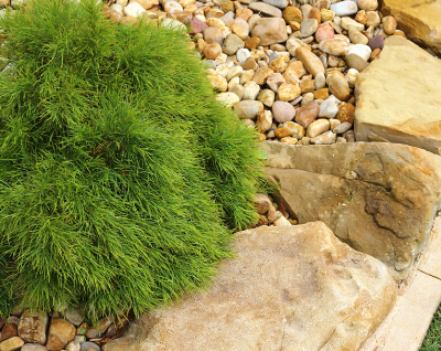 JCK Landscaping LLC