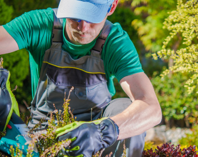 JCK Landscaping LLC