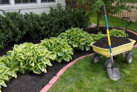 Mulching